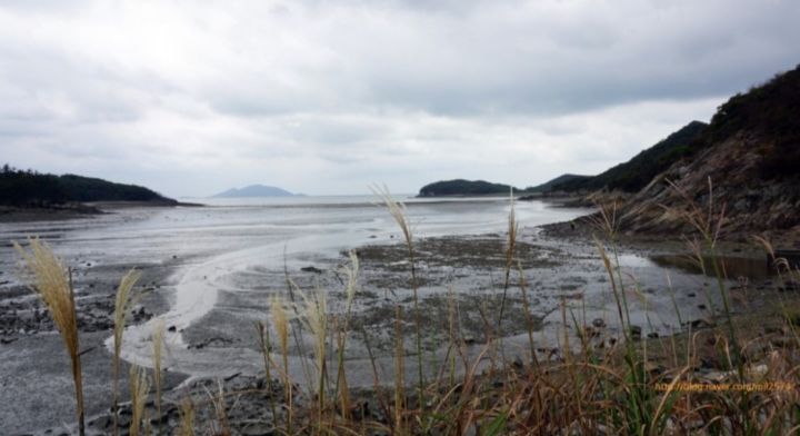 군산식도락 이미지