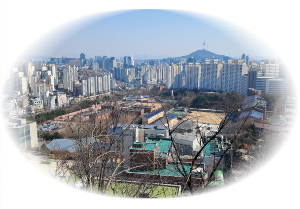 돼지방 이미지