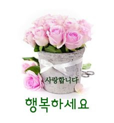 바램 이미지