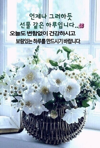 천국양행 이미지