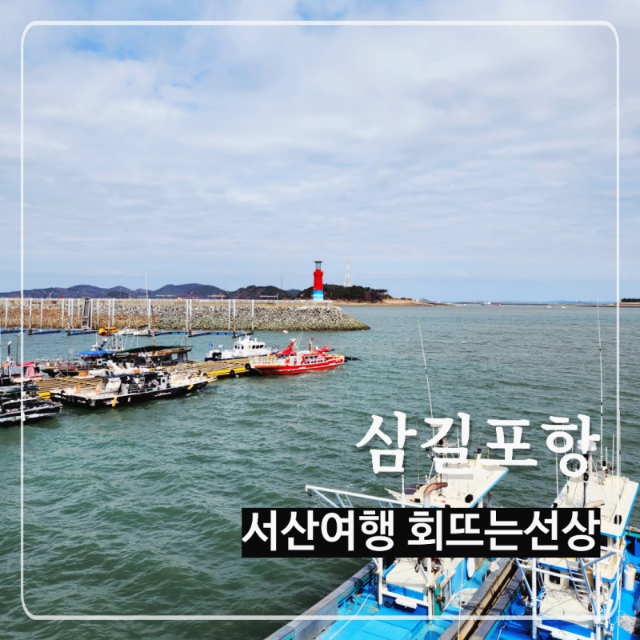 선상 이미지