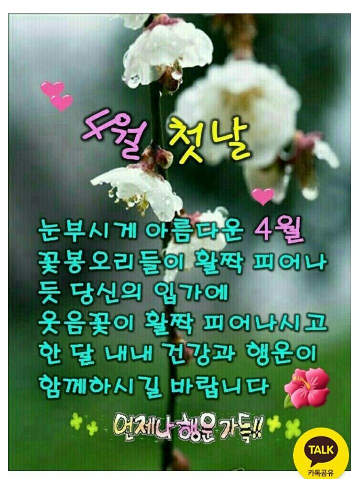 맛나지 이미지
