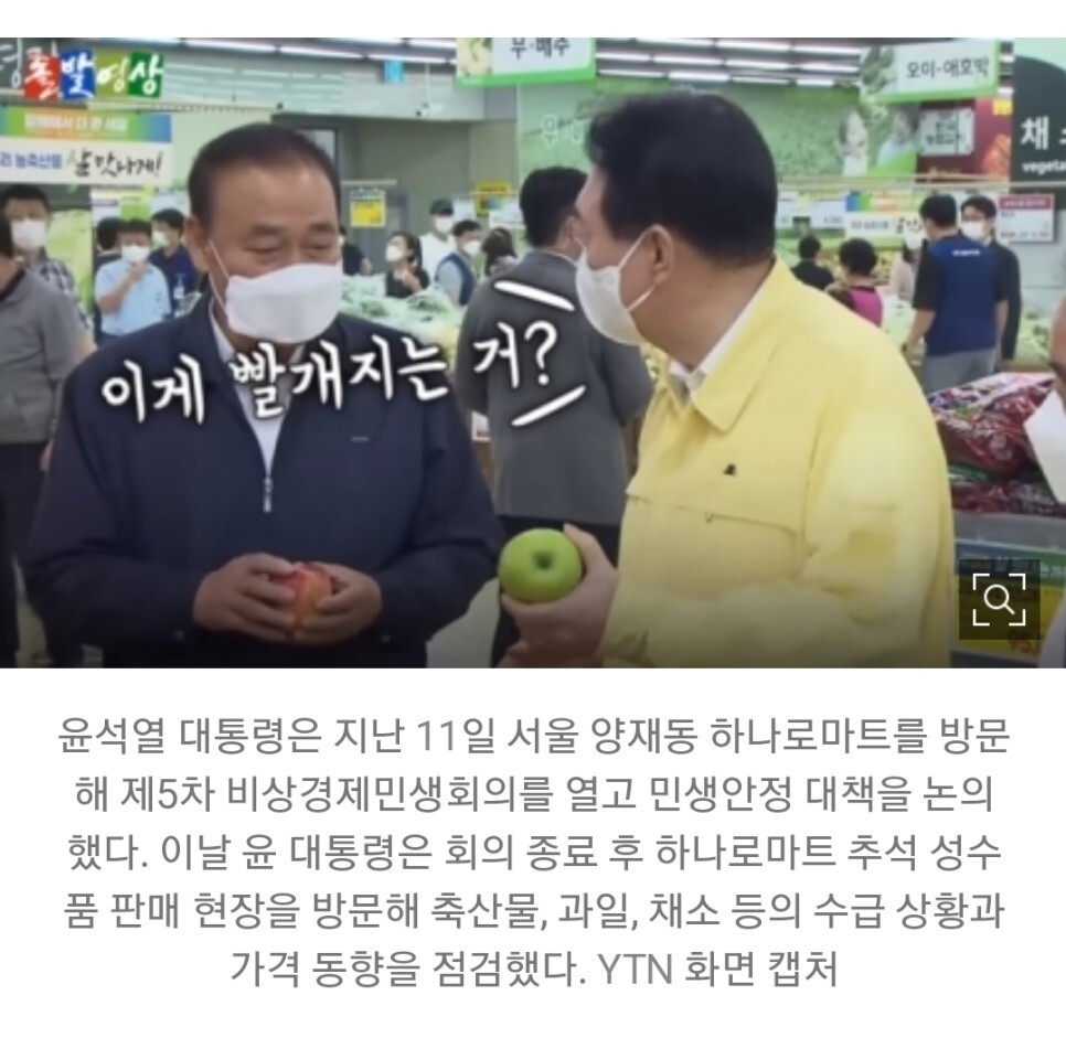 아오리 이미지
