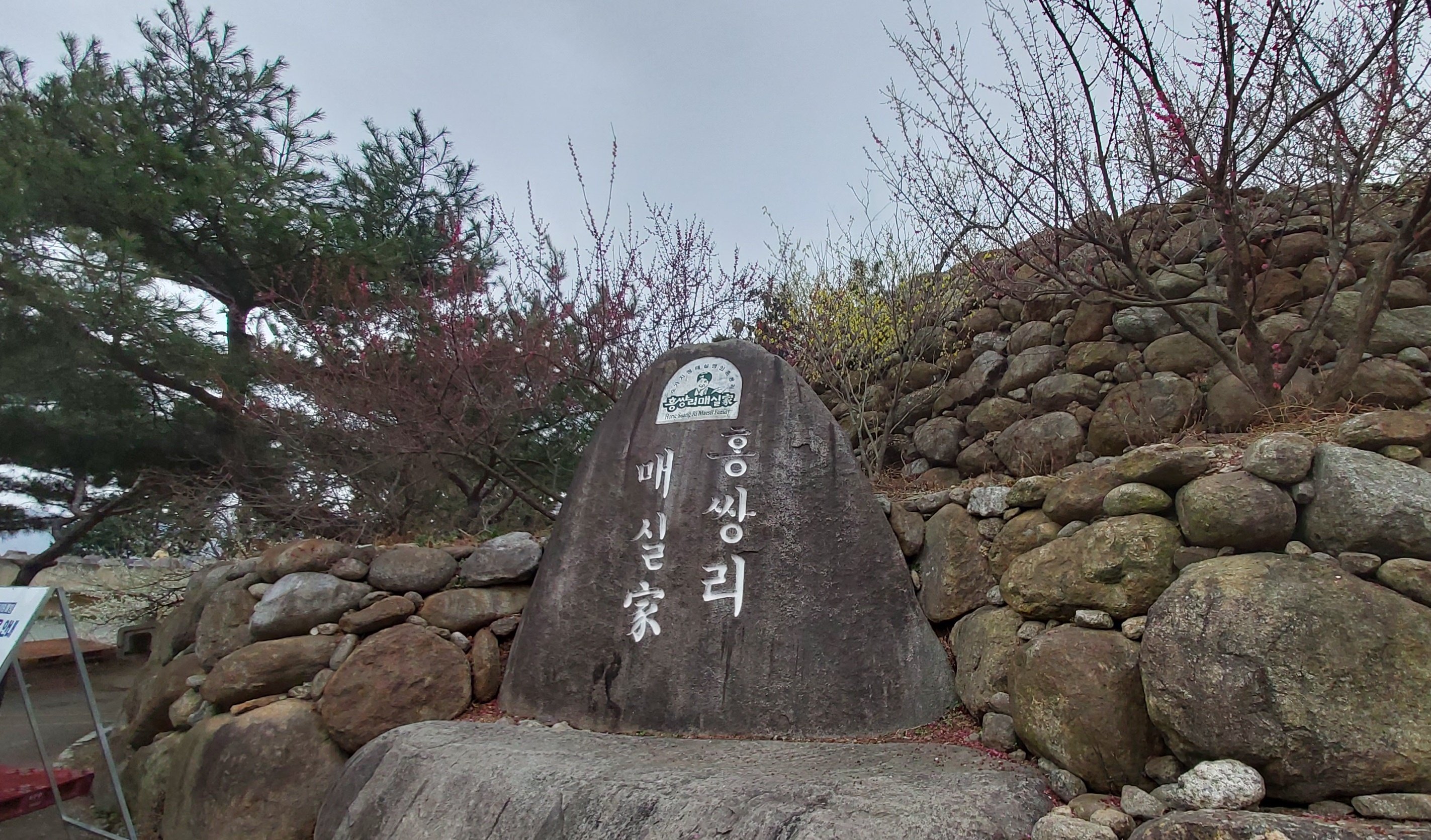 꽃나드리 이미지