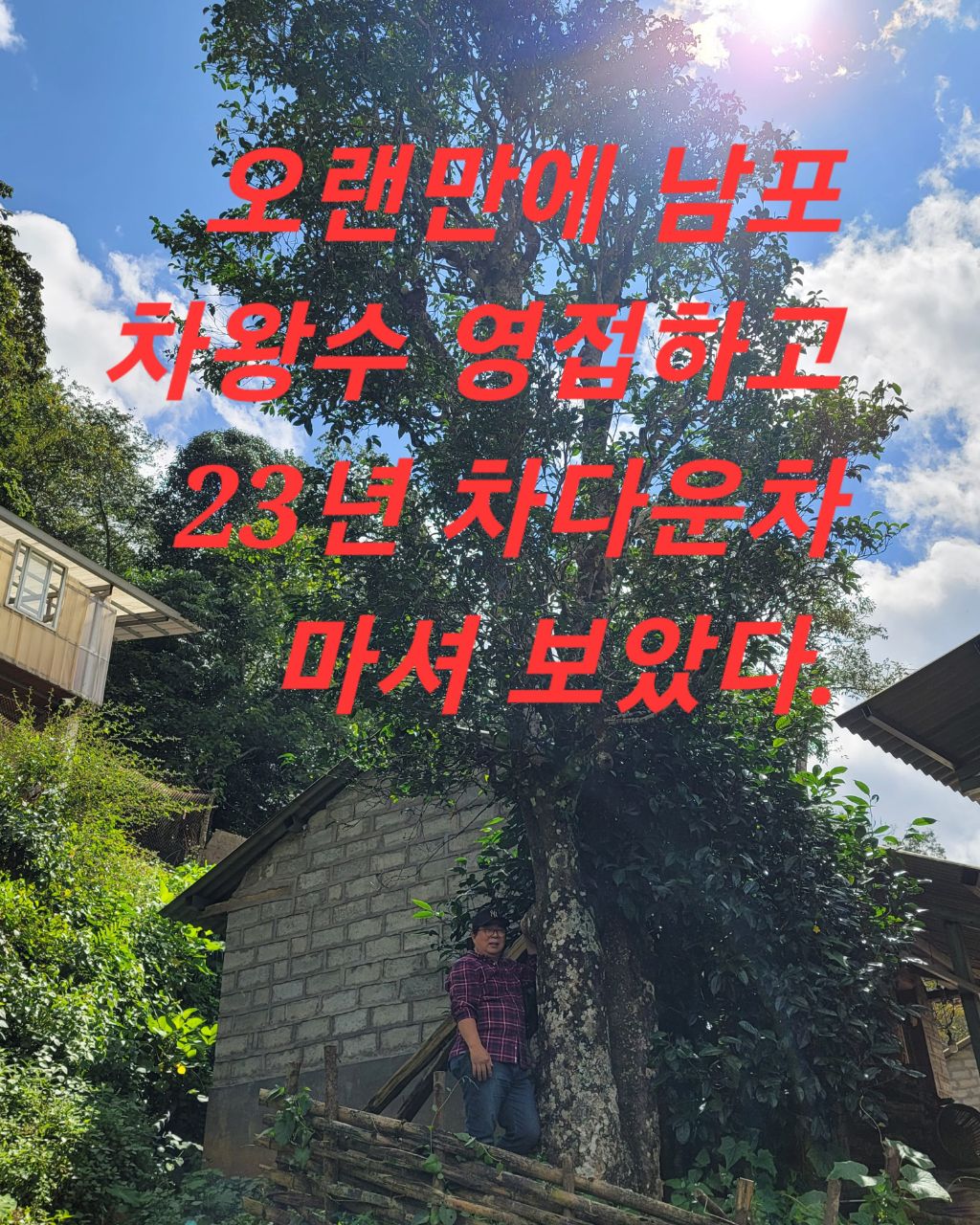 맛남포차 이미지