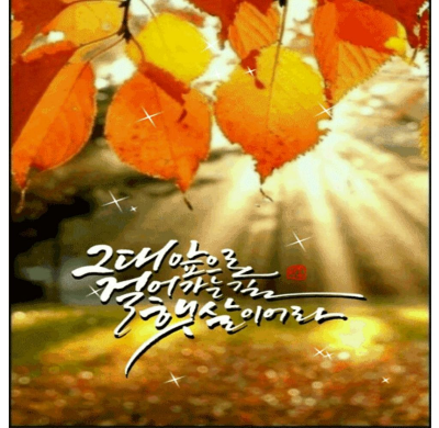 아침햇살 이미지