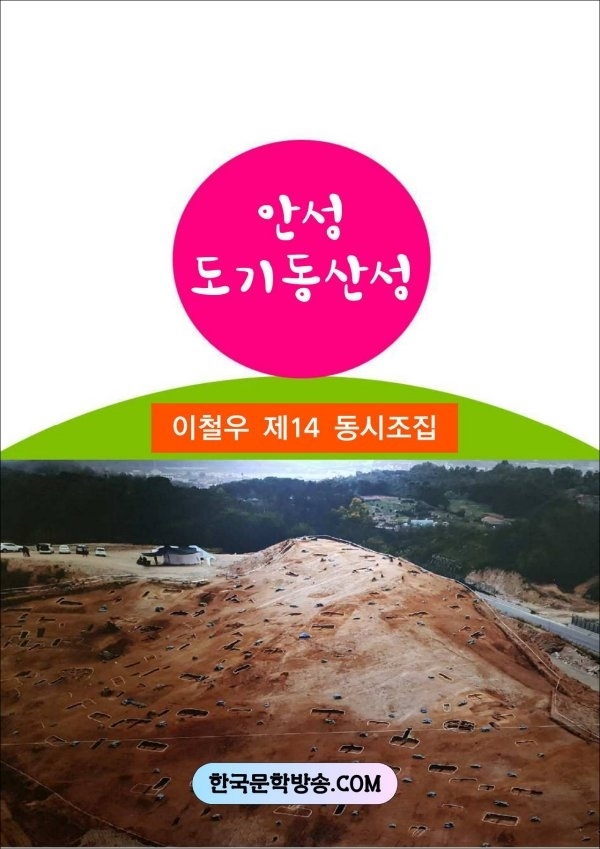 안성전자 이미지