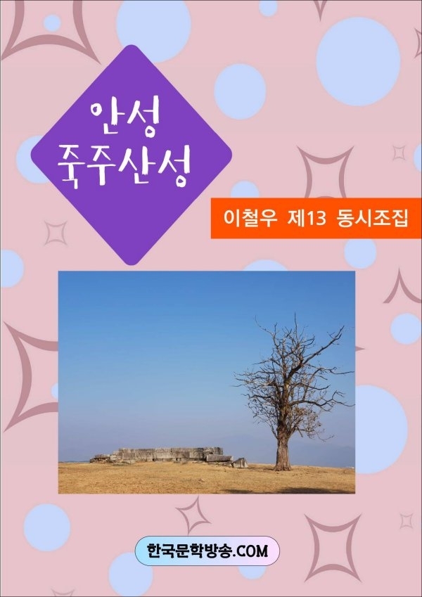 안성전자 이미지
