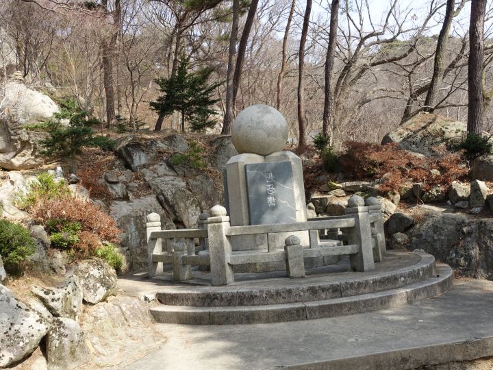 리시오 이미지