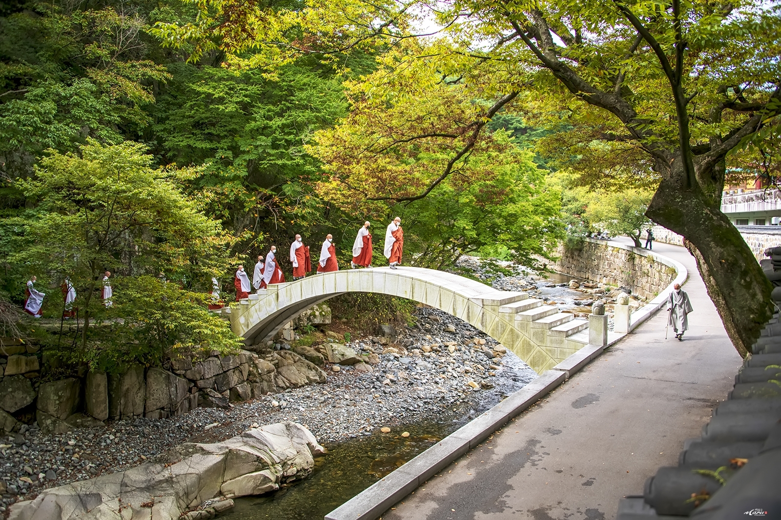 통도사 - 풍경 - 산과 들꽃 이야기 통도사