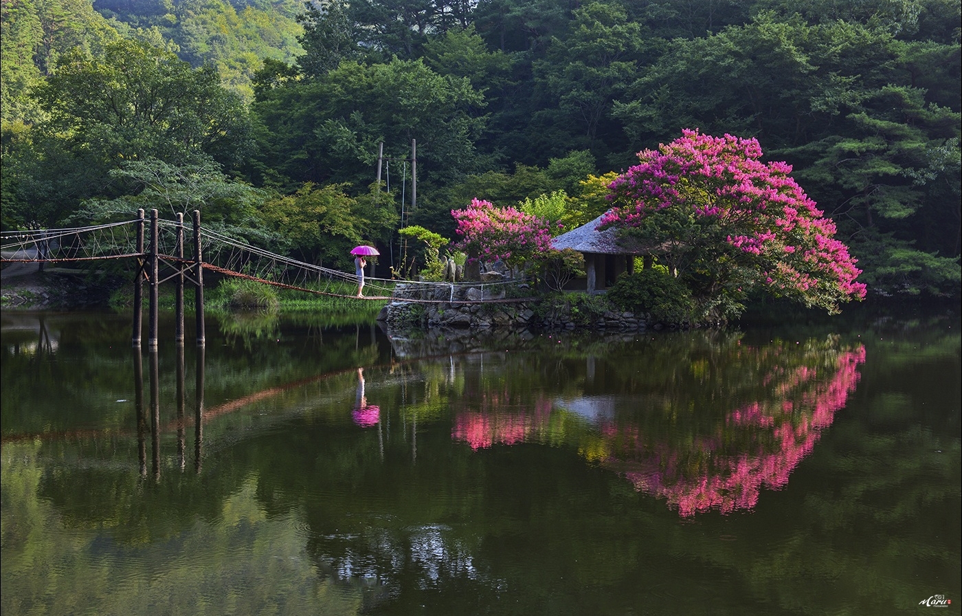 일일레저타운 - 풍경 - 산과 들꽃 이야기 일일레저타운