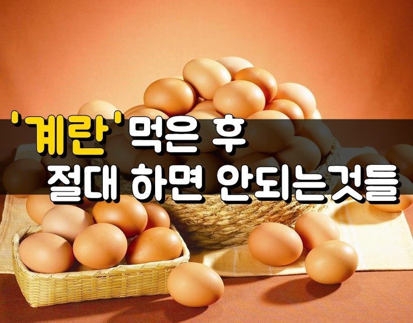 새벽계란 이미지
