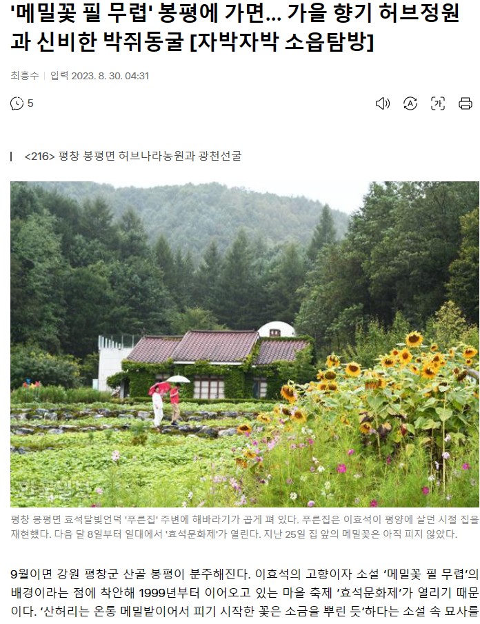 메밀꽃 필 무렵, 봉평의 초가을 향기 자전거여행길 - ◈자전거여행길 - 녹색자전거봉사단연합 메밀꽃 필 무렵, 봉평의 초가을 향기 자전거여행길