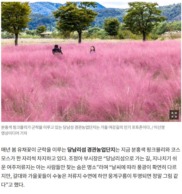 왕의 숲길, 여주통 3인의 뽑은 여강 먹거리 자전거길 여행... 녹색자전거봉사단연합 왕의 숲길, 여주통 3인의 뽑은 여강 먹거리 자전거길 여행