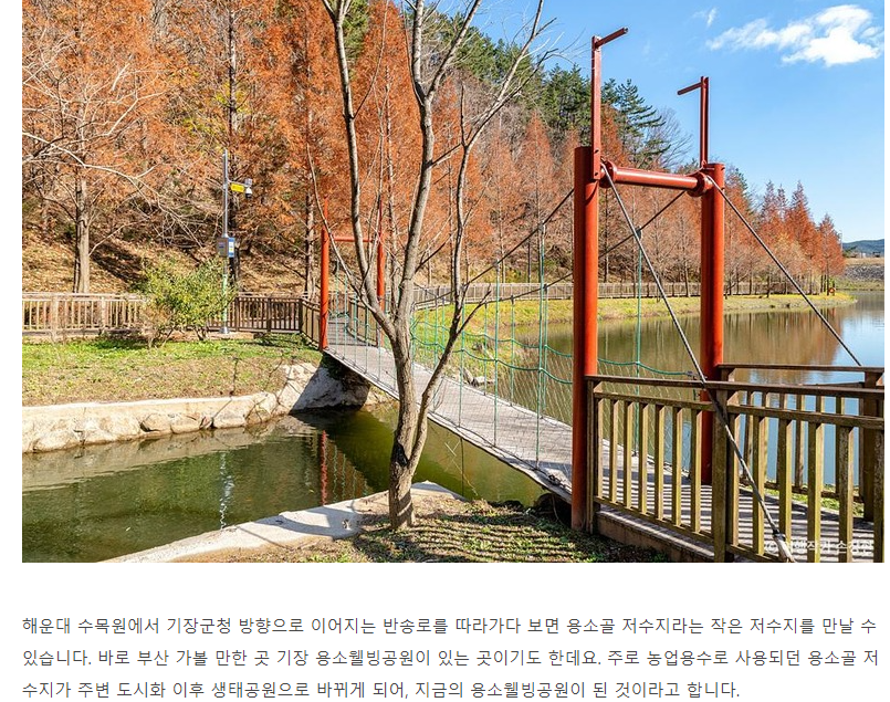 아름다운 자연과 함께하는 부산 해운대 기장여행 코스 - ◈도보자전거여행길 - 녹색자전거봉사단연합 아름다운 자연과 함께하는 부산 해운대... 