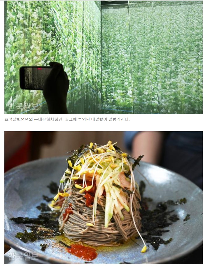 메밀꽃 필 무렵, 봉평의 초가을 향기 자전거여행길 - ◈자전거여행길 - 녹색자전거봉사단연합 메밀꽃 필 무렵, 봉평의 초가을 향기 자전거여행길
