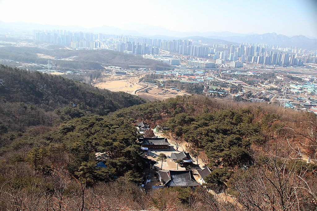 양주세기 이미지