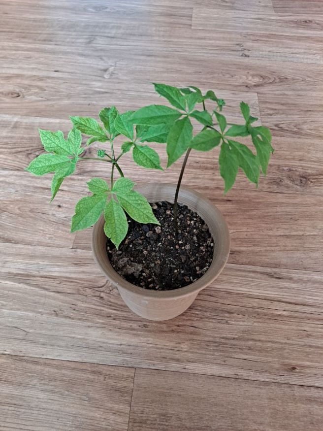 겨울과봄사이 이미지
