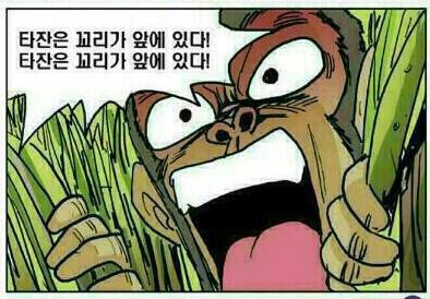 비밀 이미지