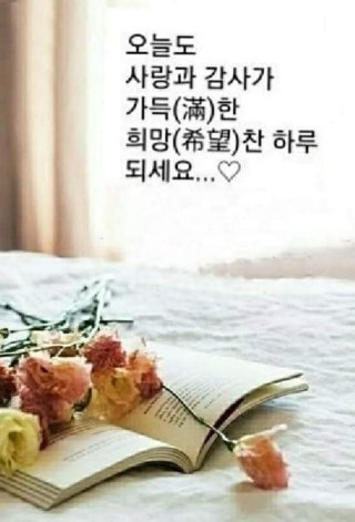 다웃는다 이미지