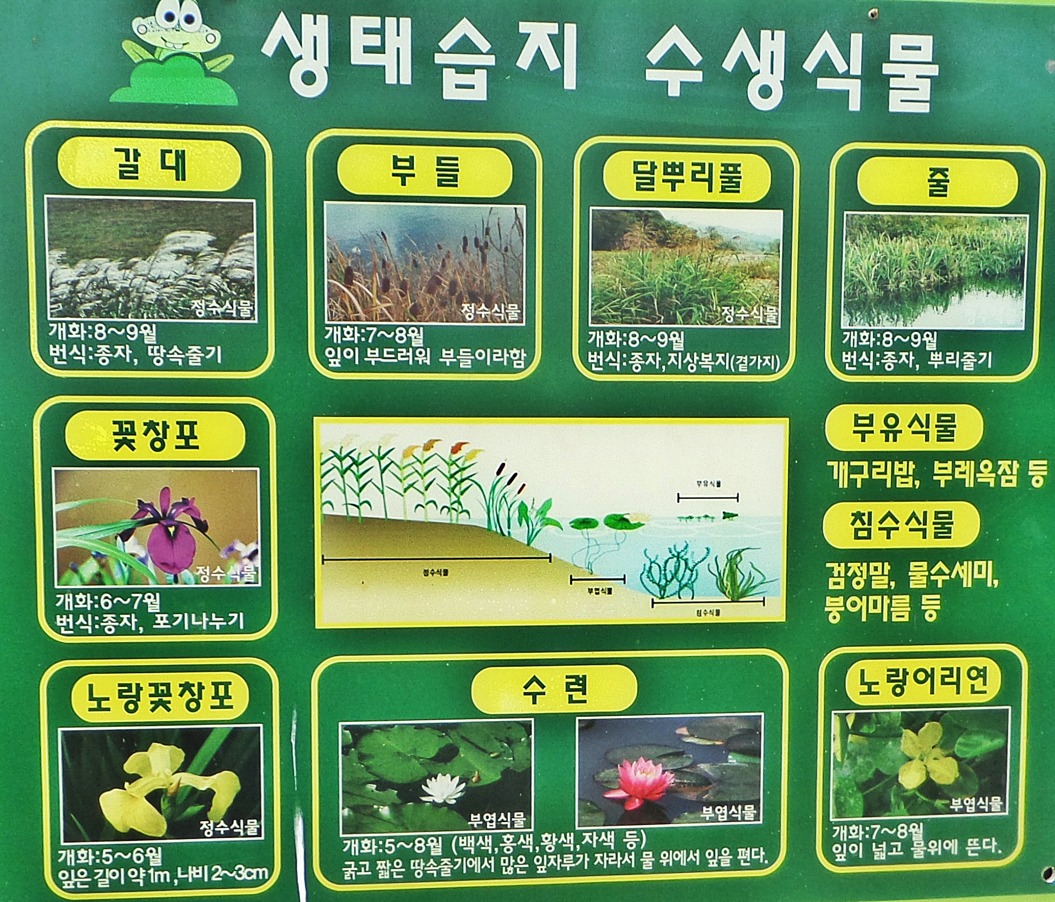 상수청정 이미지