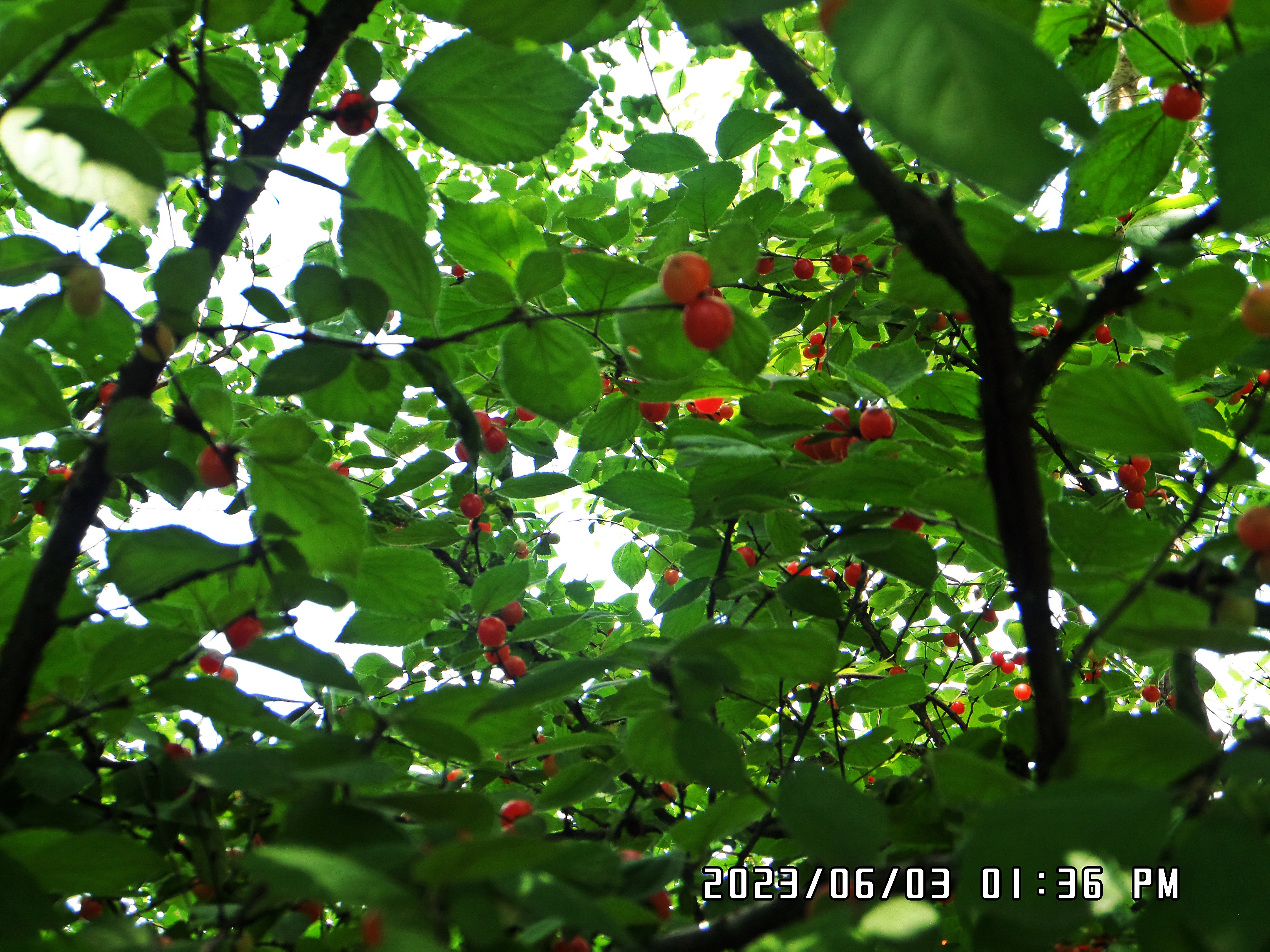 덕성산 정상 이미지