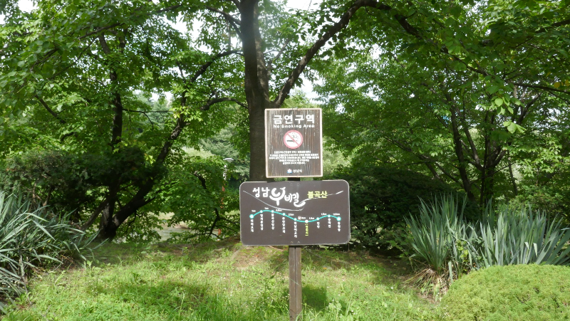 태재 이미지