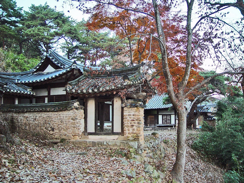 회포풀자 이미지