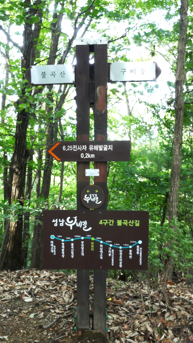 태재 이미지