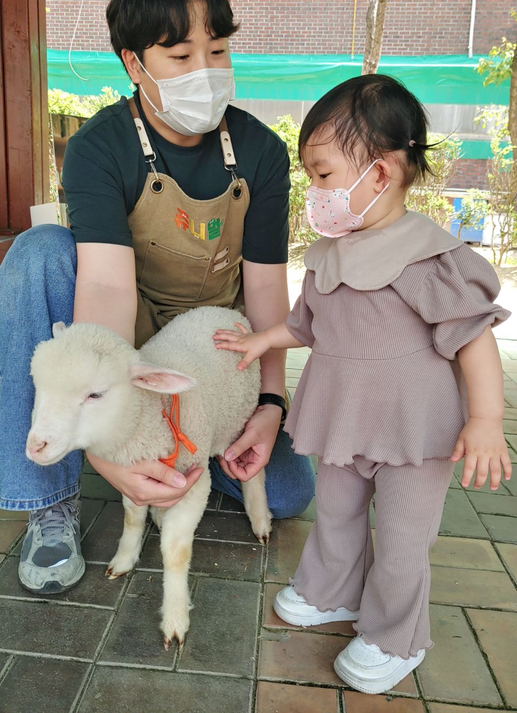 장수선인장 이미지