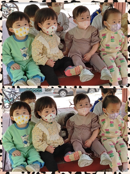 장수선인장 이미지