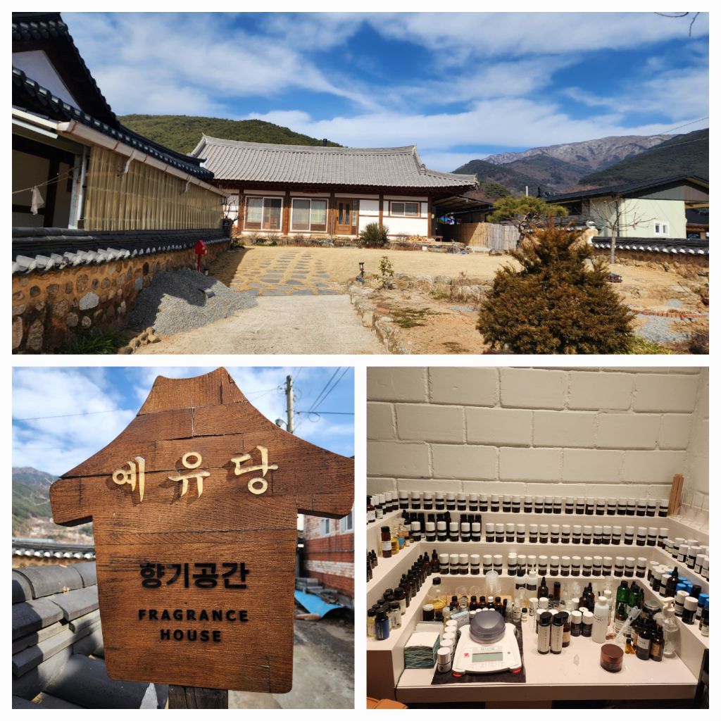 2/6- 황칠 오리백숙, 예유당 ( 향 차림 맛집 ) - 2025- 지리산 귀농일기 - 설봉의 <지리산방> 2/6- 황칠 오리백숙, 예유당 ( 향 차림 맛집 )