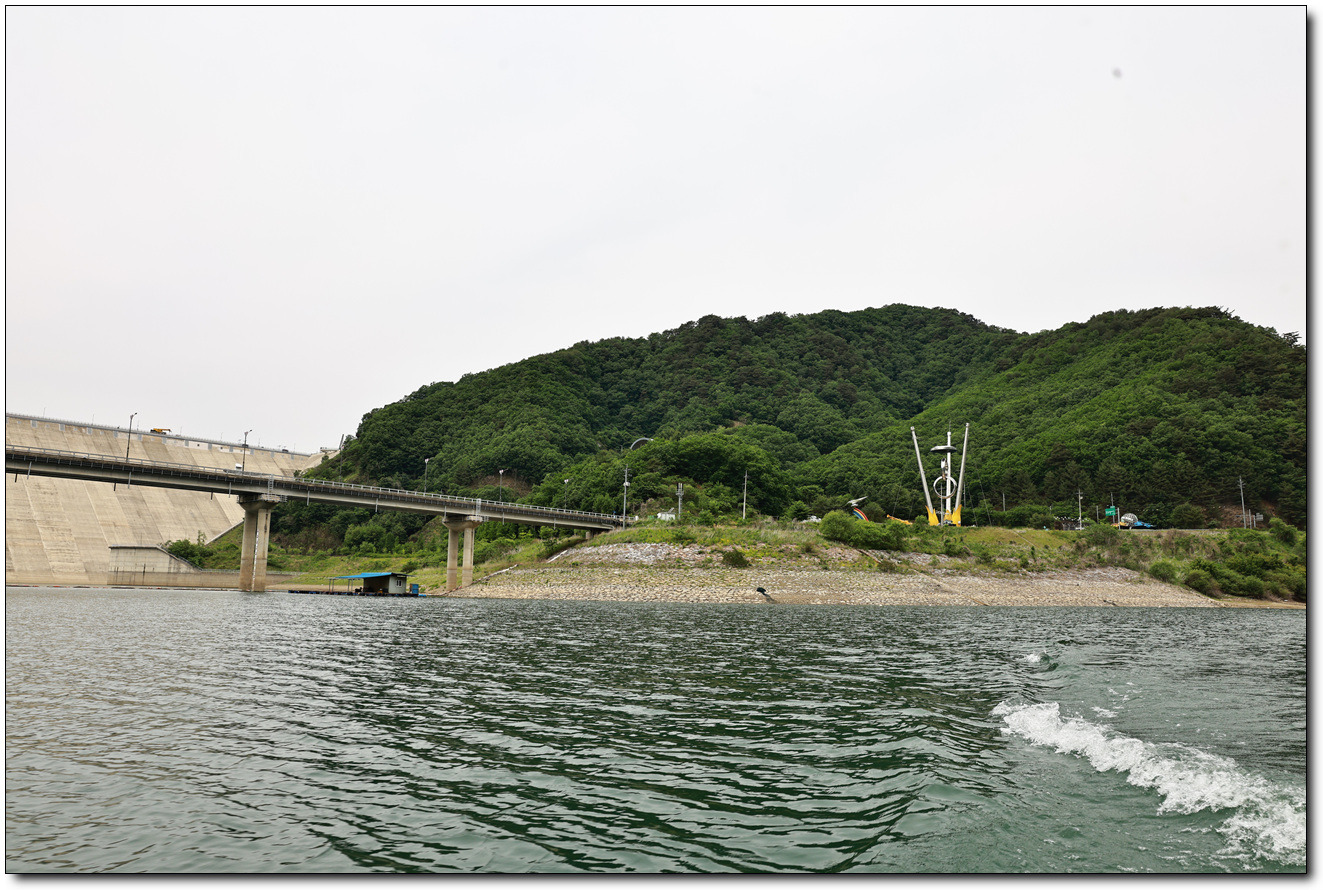 파라호 이미지