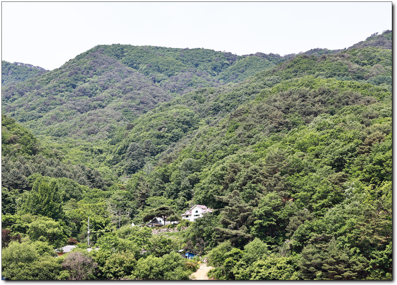 파라호 이미지
