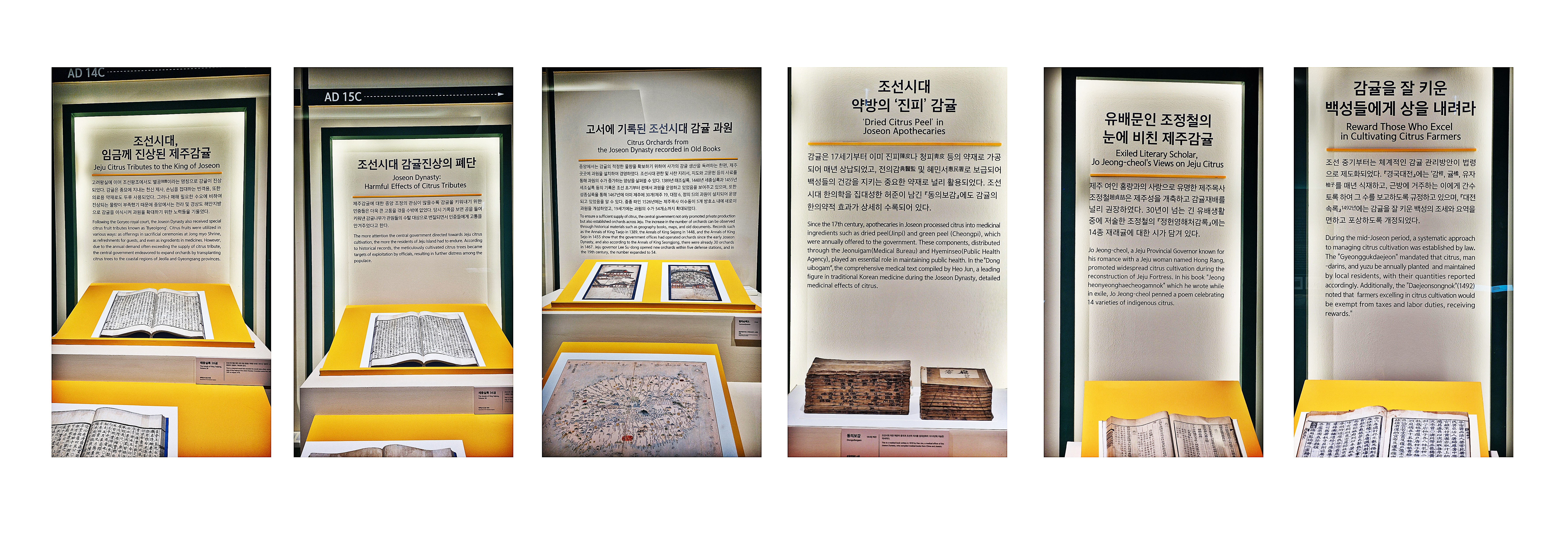 카페1004 이미지