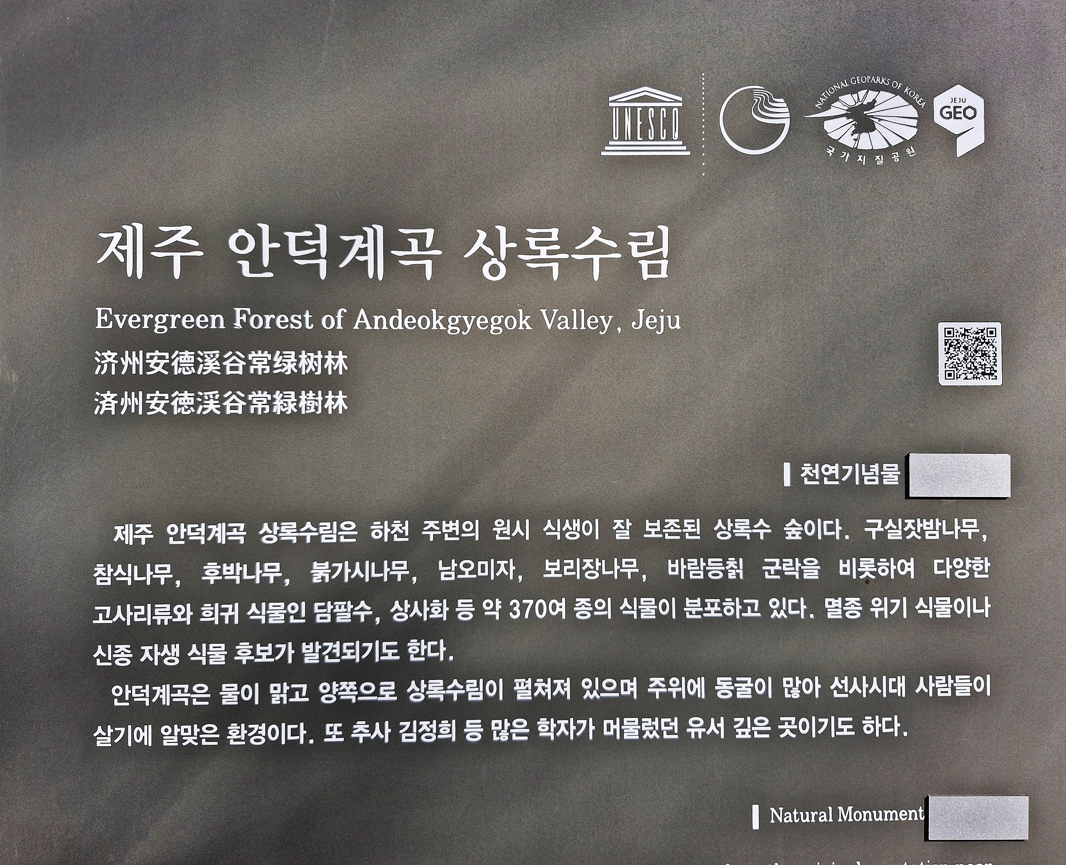카페1004 이미지