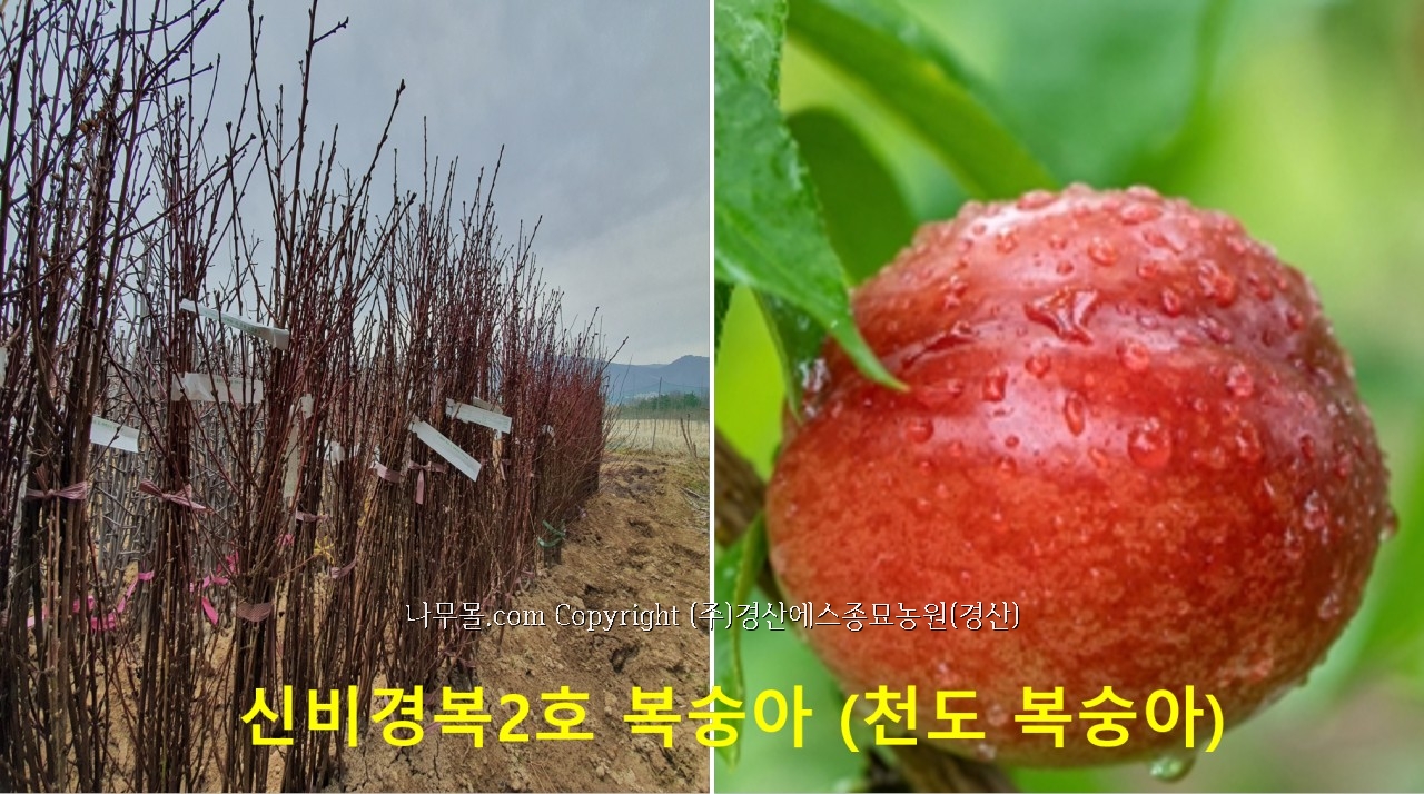 농업회사법인 (주)수농원 이미지