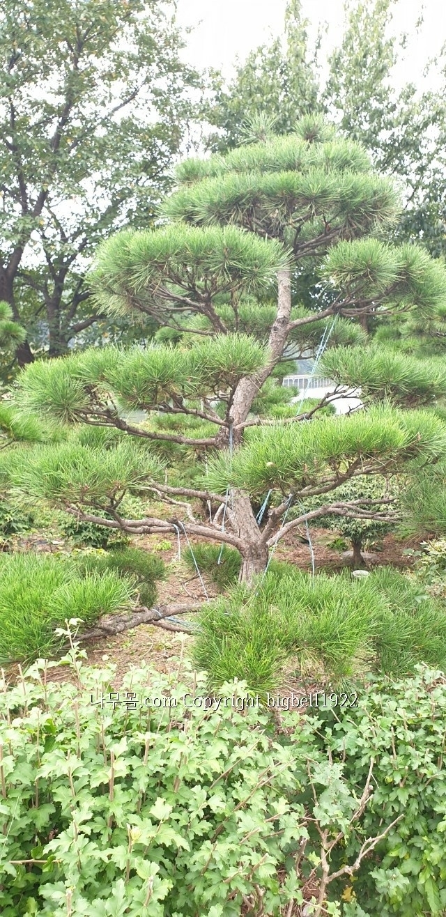 소사농장 이미지