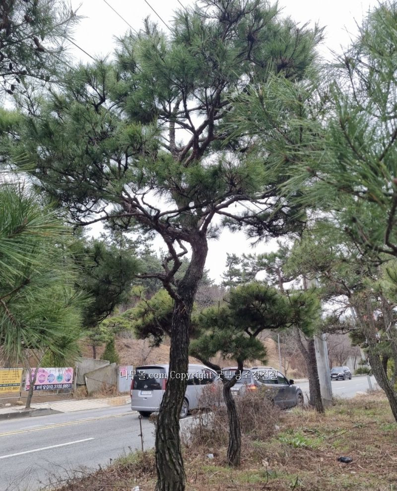 조형 이미지