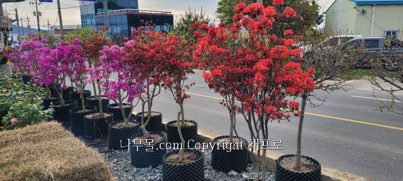 조형 이미지