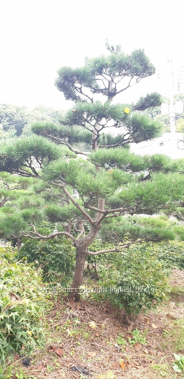 소사농장 이미지