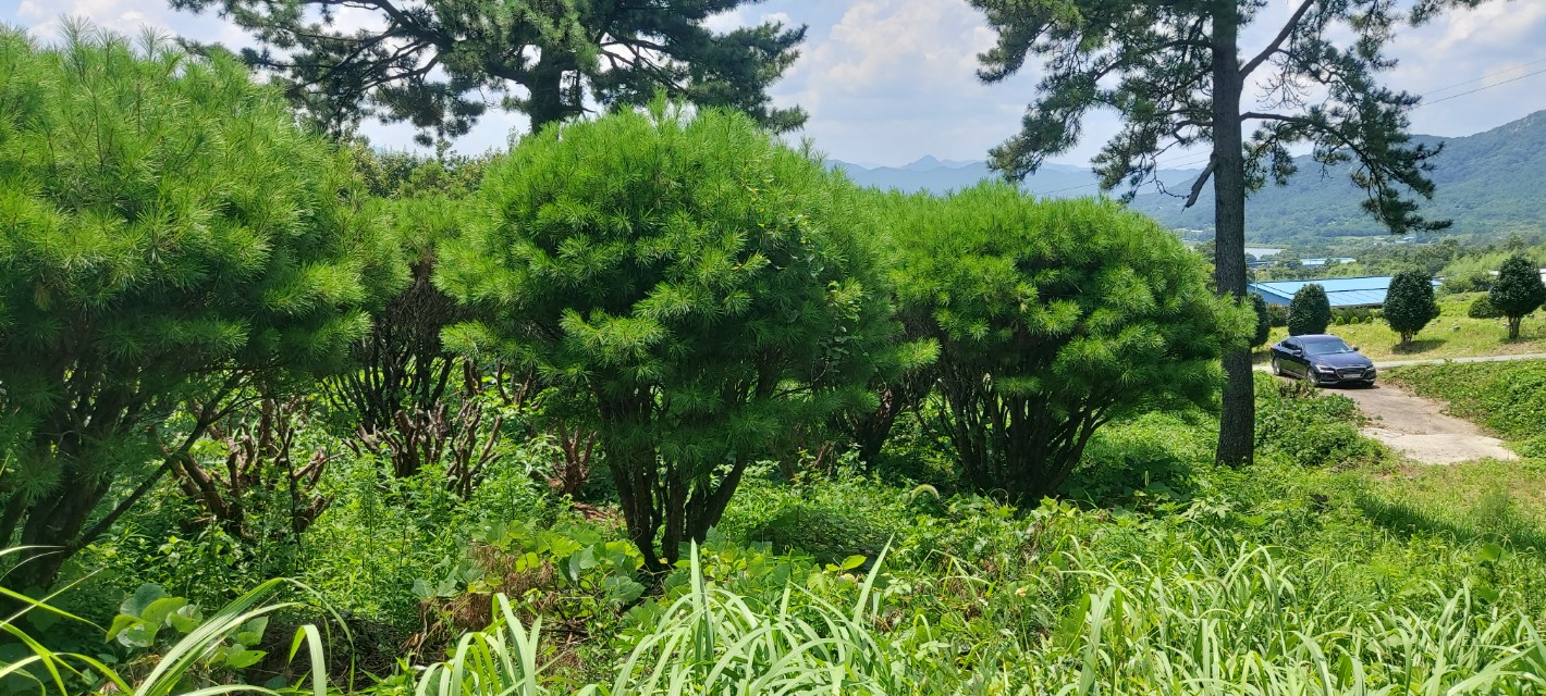 정남진농원 이미지