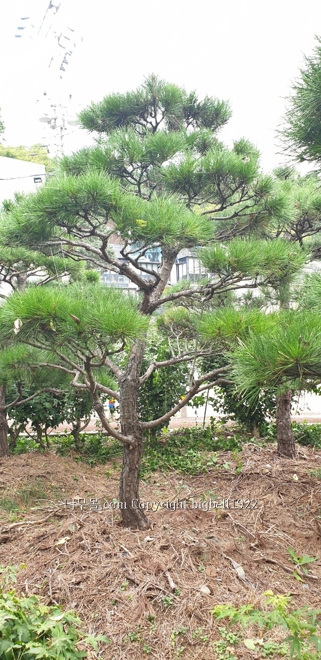 소사농장 이미지