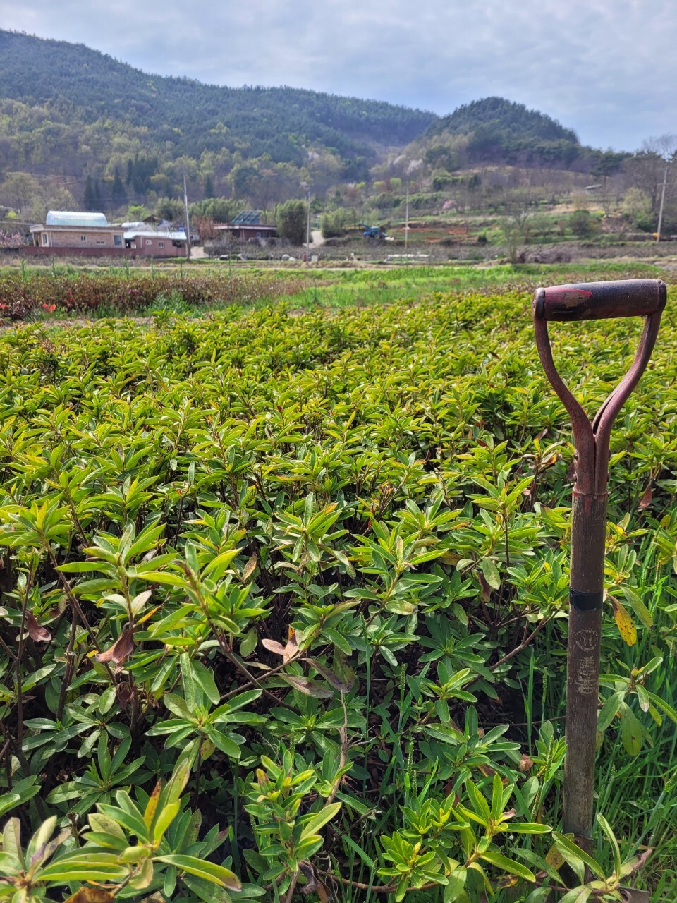 (주)상록 이미지
