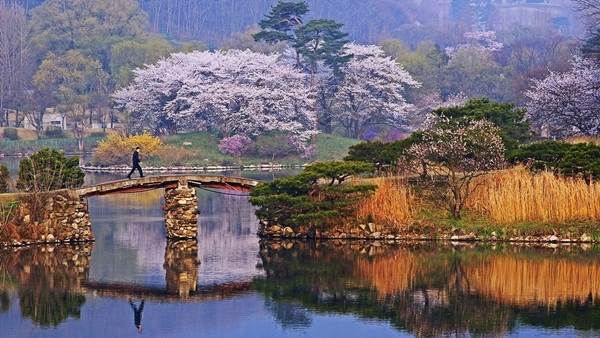 여우길 이미지