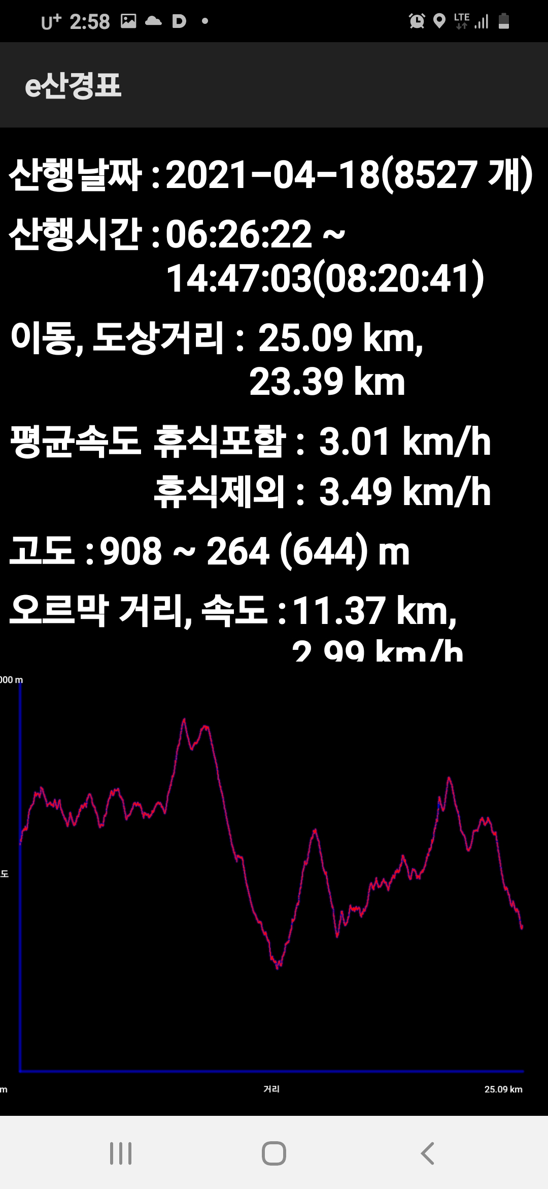 고동치 이미지
