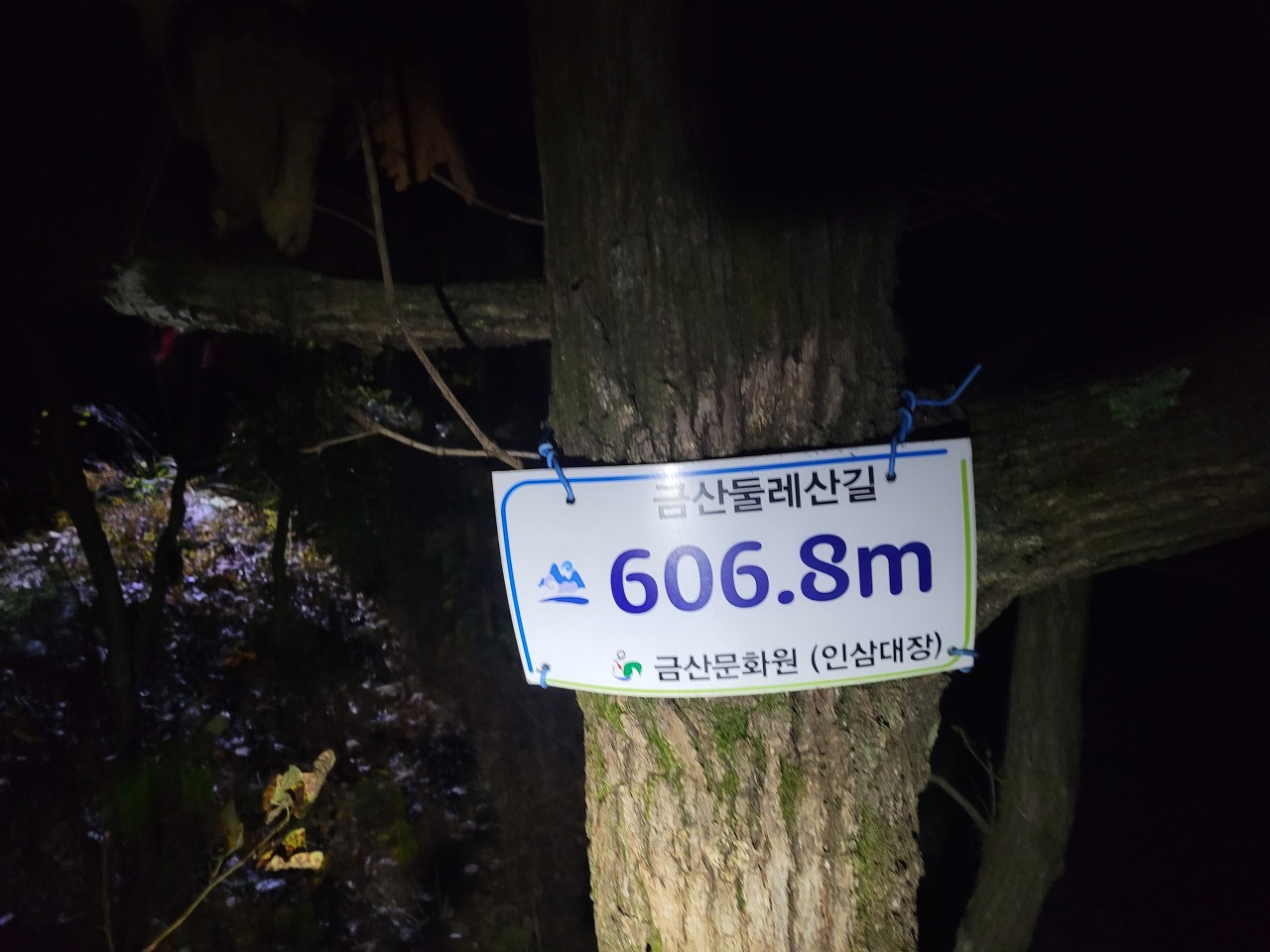 대유삼정 이미지