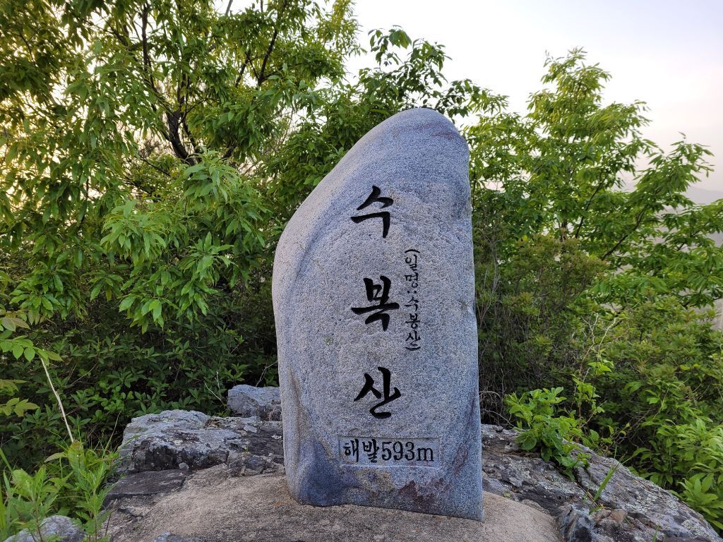 비슬지맥 556.2m 이미지
