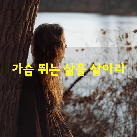 가슴뛰는 삶을 살아라 - 좋은글 - 수림결혼정보 www.zzakk.com 가슴뛰는 삶을 살아라