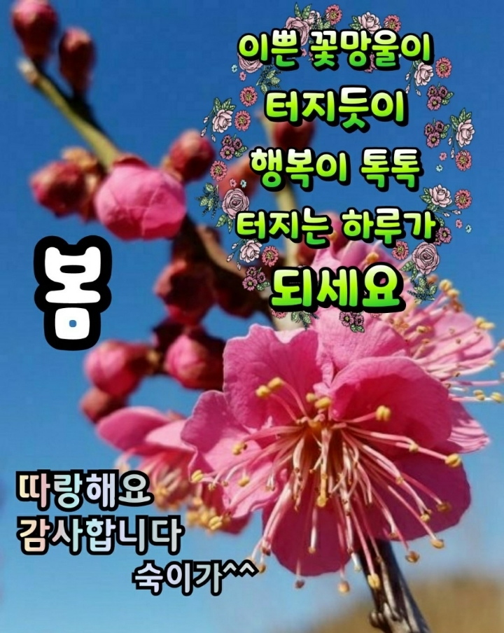 [동행하고 싶은 사람] - 좋은글 - 수림결혼정보 www.zzakk.com [동행하고 싶은 사람]